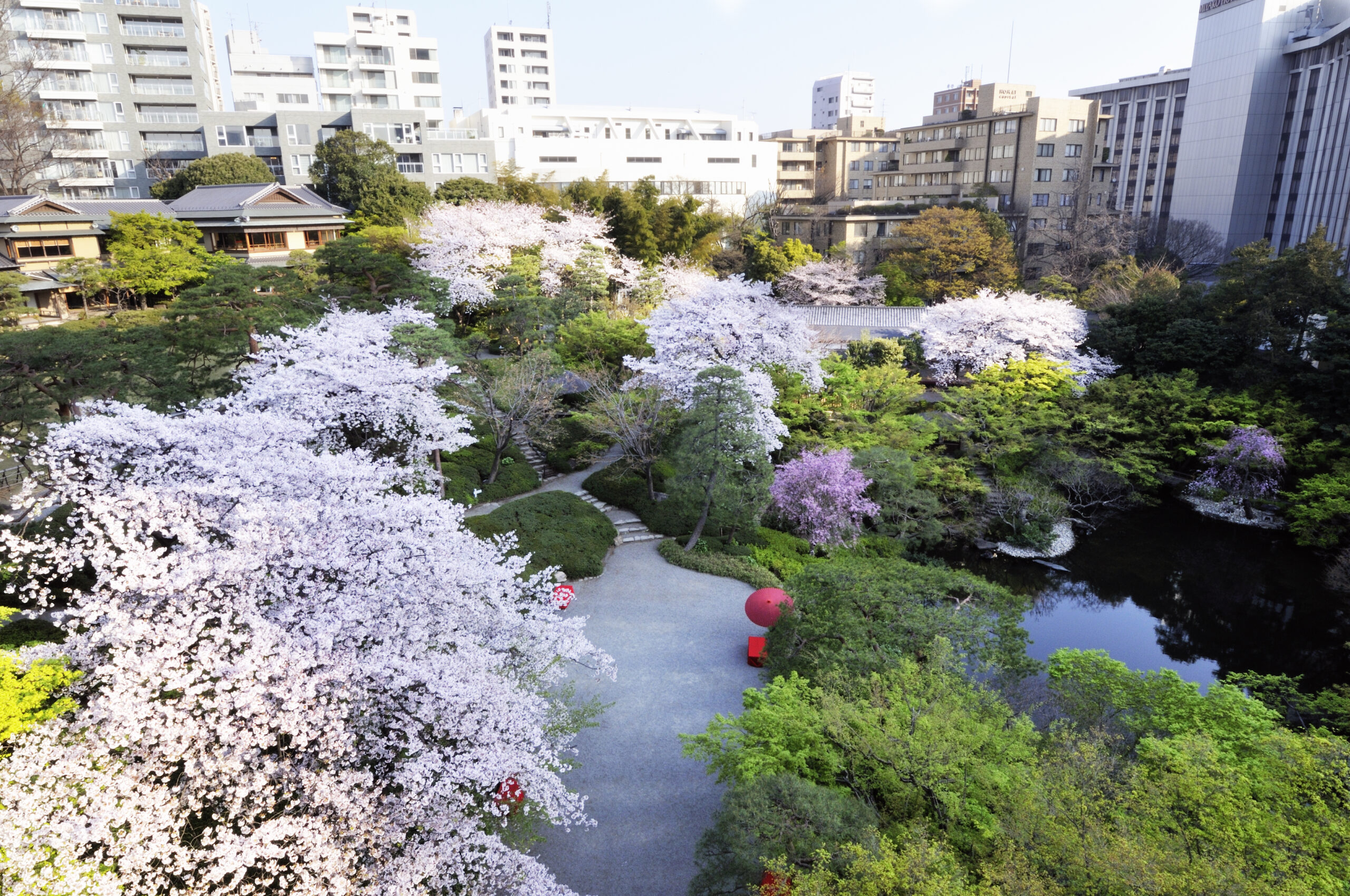 The Institute of Actuaries of Japan